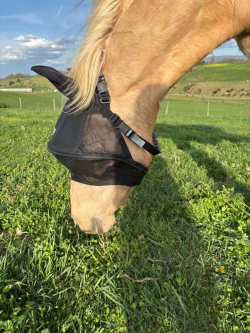 Máscara anti moscas para caballo Solar Vizor tamaño COB protección UV 100%