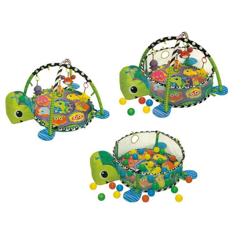 Tortuga 2025 gimnasio bebe