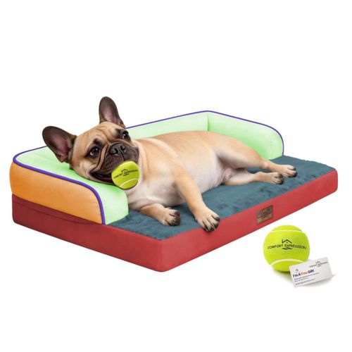 Comfort Expression Cama ortopédica lavable para perros grandes