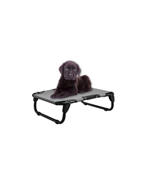 Catre Cama Pegaso para Mascota Chico COLOR, Mod: KM-CH GRIS