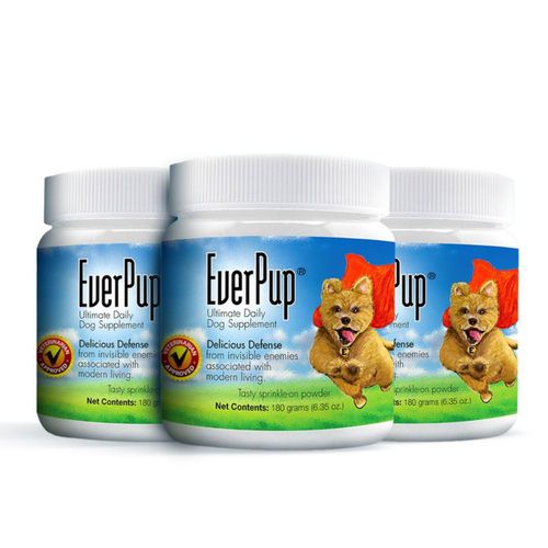 Suplemento para Perro EverPup 180 g Glucosamina y Probióticos