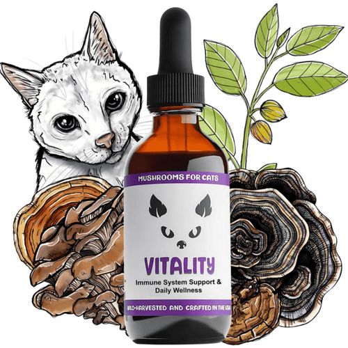 Tintura de Hongos MycoDog 20‑en‑1 para Apoyo Hepático en Gatos