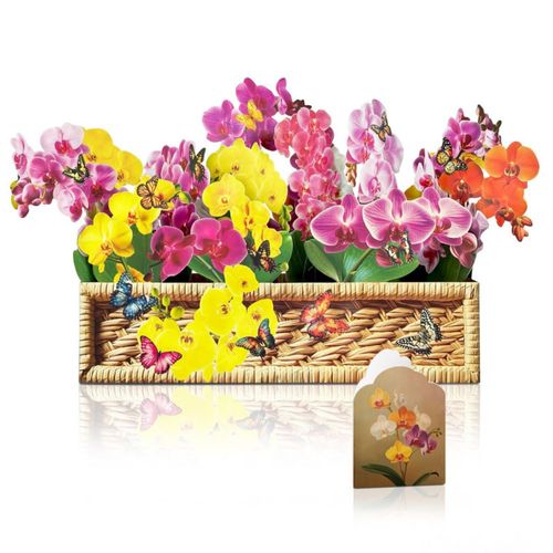 Tarjeta de Felicitación PINELIFE Ramo de Orquídeas 3D Pop‑Up
