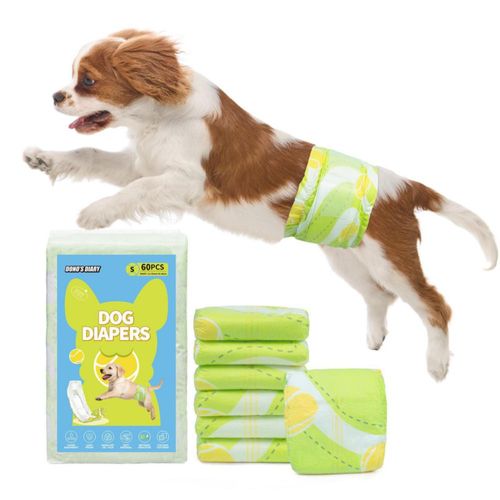 Pañales para Perro Dono Macho 60 uds Superabsorbentes Talla Pequeña