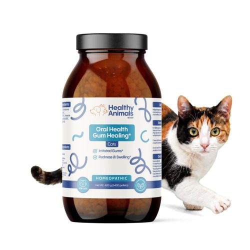 Salud Bucal para Gatos HealthyAnimals4Ever 400 g Tabletas