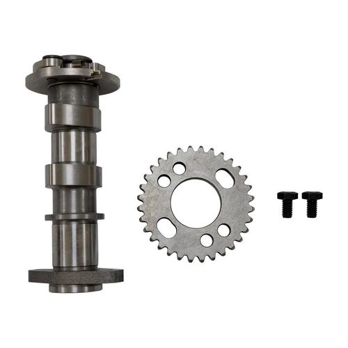 Arbol levas italika vort-x300 (17-24)