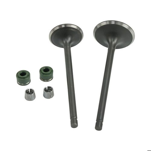 Valvula admision/escape set vento crossmax 300 rally (25), gts 300 (24-25)