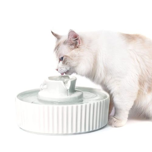 Fuente de agua para gatos NautyPaws 21 L cerámica blanca filtrada