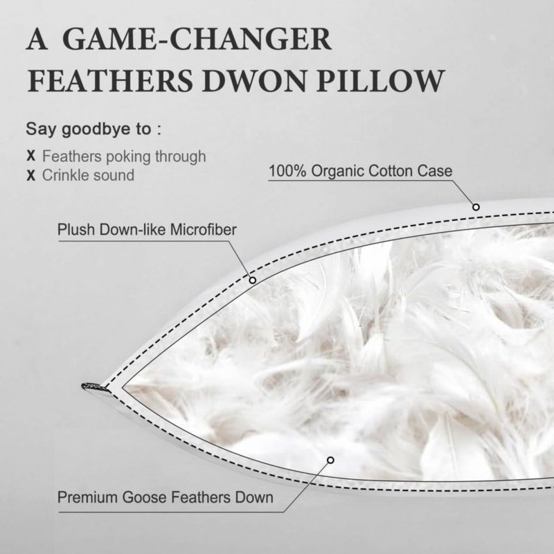 Almohada DWR Feather Down paquete de 2 unidades de algodón orgánico tamaño queen