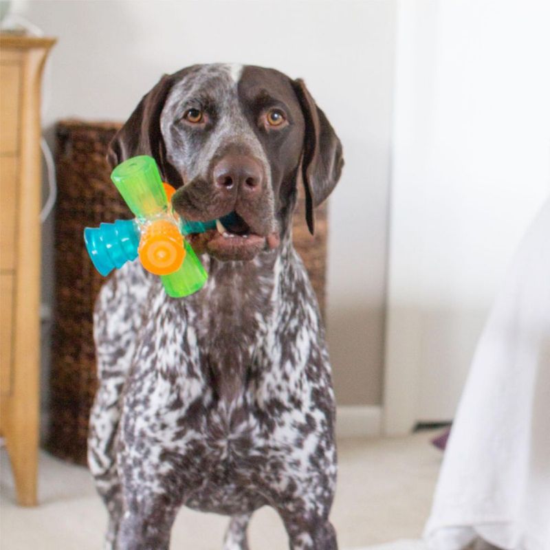 Juguete para perro Outward Hound 12 cm Multi-chillido interactivo
