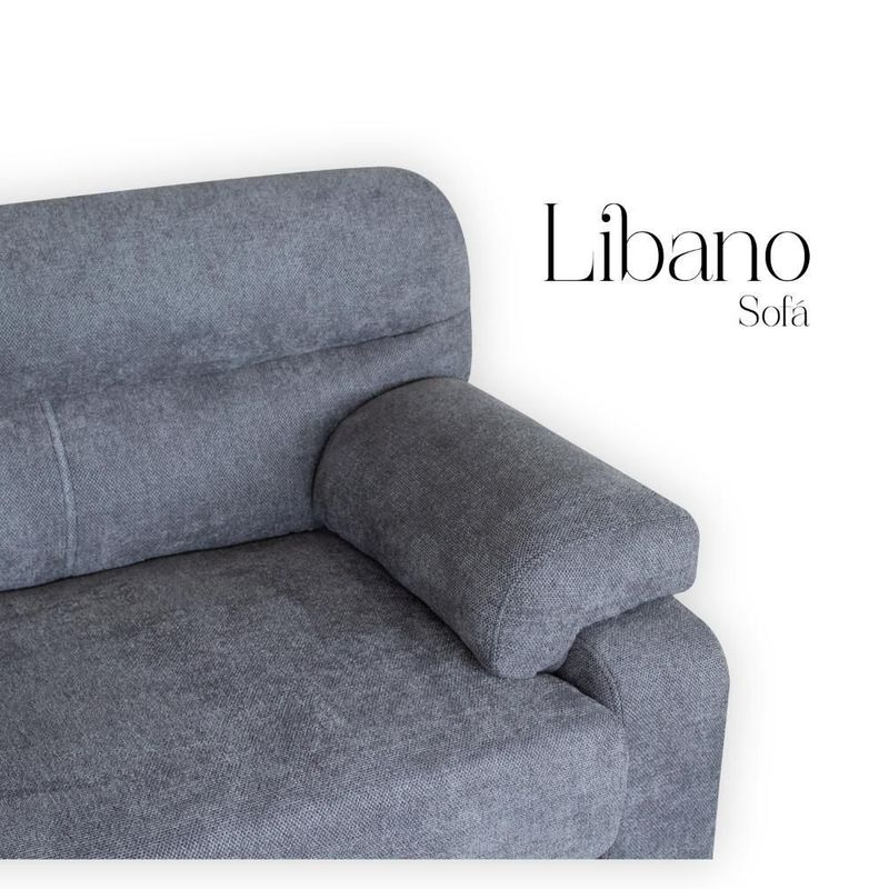 Sofá Libano 2 Plazas Gris