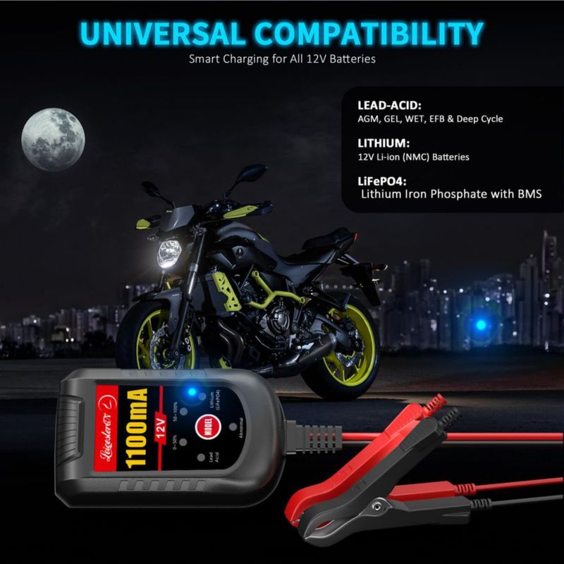 Cargador de baterías LEICESTERCN 12 V 11 A (paquete de 4)