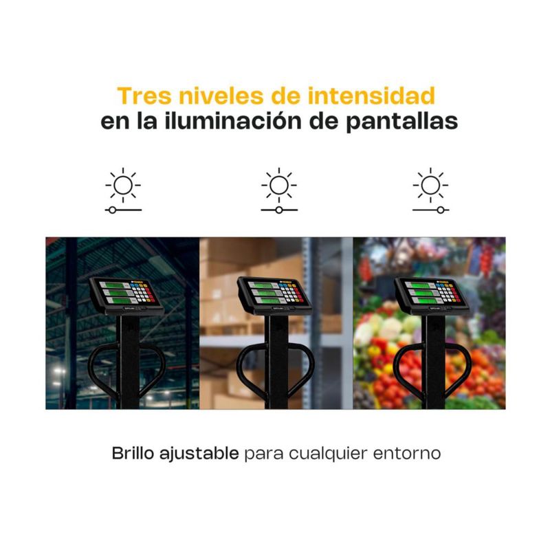 Báscula de Plataforma RHINO BAPCA-800 800 kg