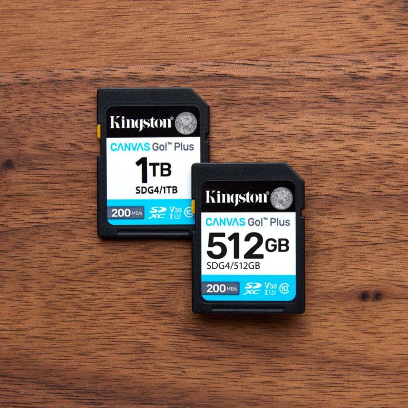 Tarjeta SD Kingston 256 GB 200 MB/s Clase 10 UHS‑I V30