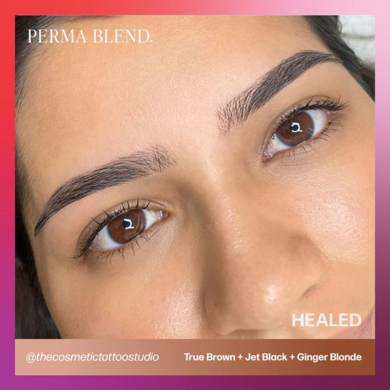 Perma Blend Tinta Pigmentada Marrón Claro para Tatuaje de Cejas Suministros Profesionales de Microblading Botella de 1/2 oz