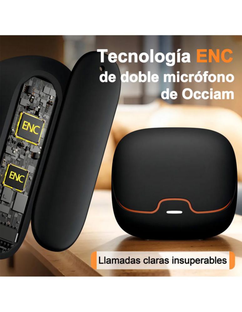 Petukita Box S36 | Potencia Sonora