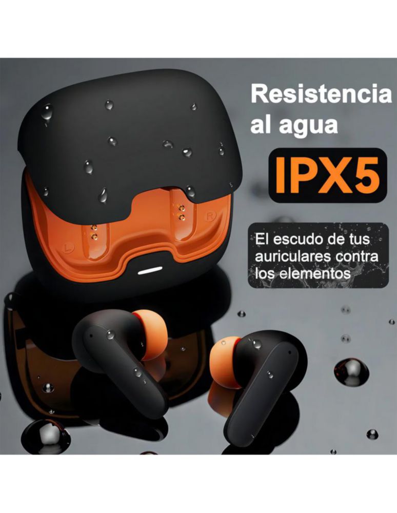 Petukita Box S36 | Potencia Sonora