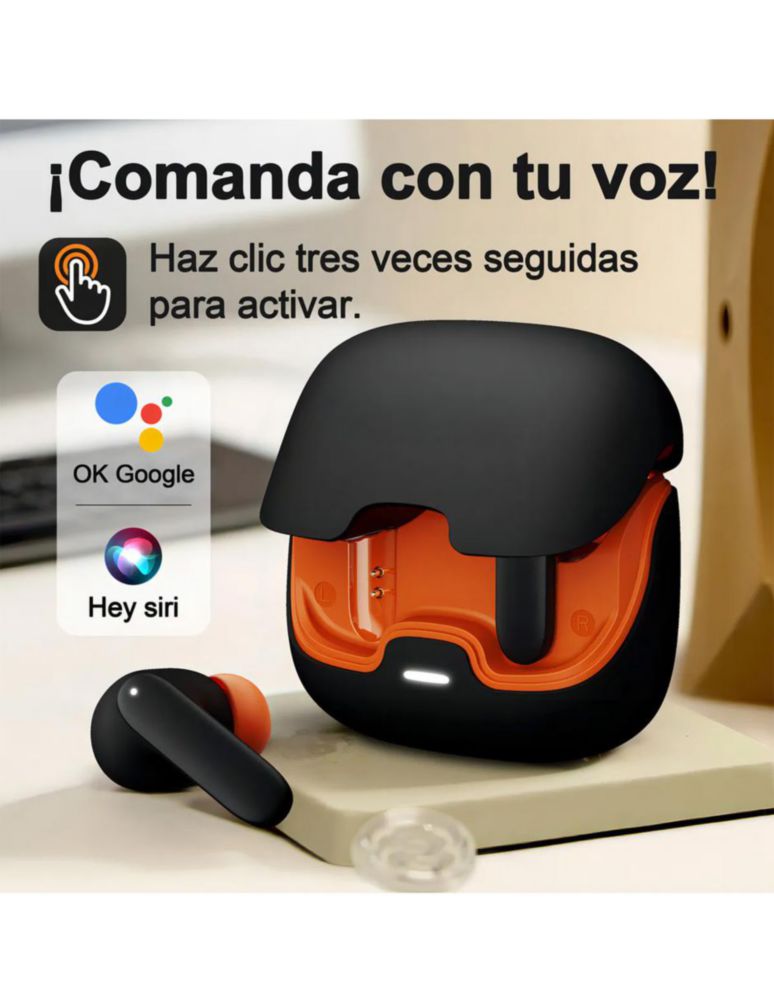 Petukita Box S36 | Potencia Sonora