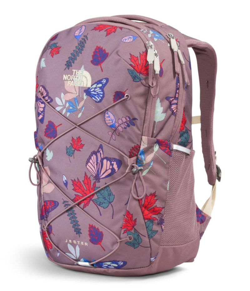Mochila THE NORTH FACE Jester Everyday Fawn Grey 22L para mujer