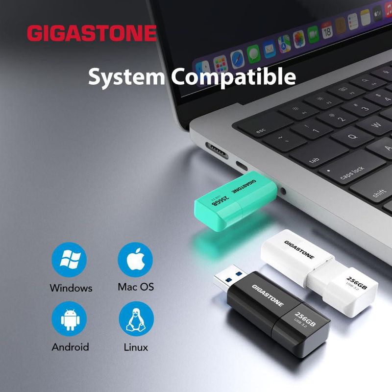Memoria USB Gigastone Z60 de 256 GB USB 3.2 Gen 1 120 MB/s