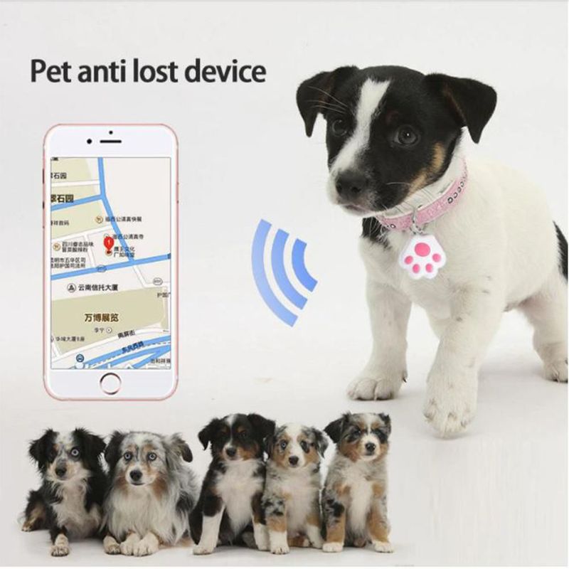 GPS Mini Localizador Perros MXKPE-005 PetTrack Localizador GPS para Felinos