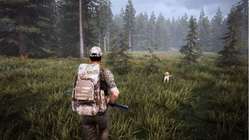 Videojuego Maximum Games Hunting Simulator 2 para Nintendo Switch
