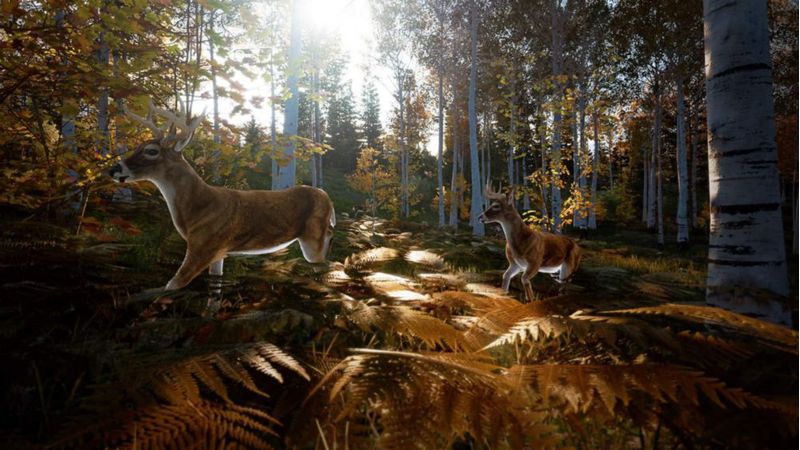 Videojuego Maximum Games Hunting Simulator 2 para Nintendo Switch