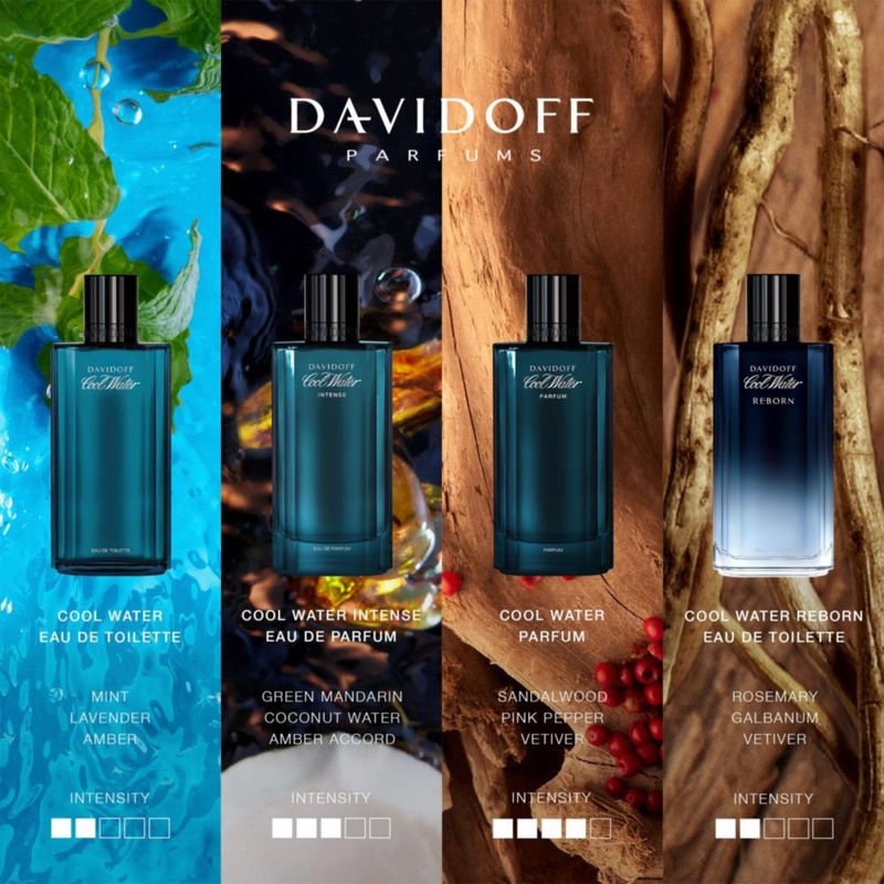 Colonia Davidoff Cool Water Fougère para Hombre