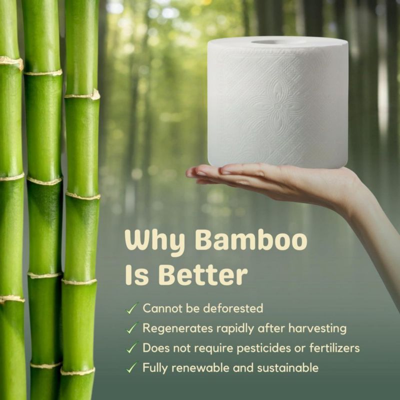Papel Higiénico de Bambú SRIAA 12 Mega Rollos 3 Capas FSC