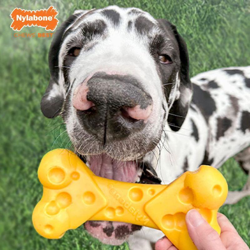 Mordedor Nylabone X-Large sabor a queso