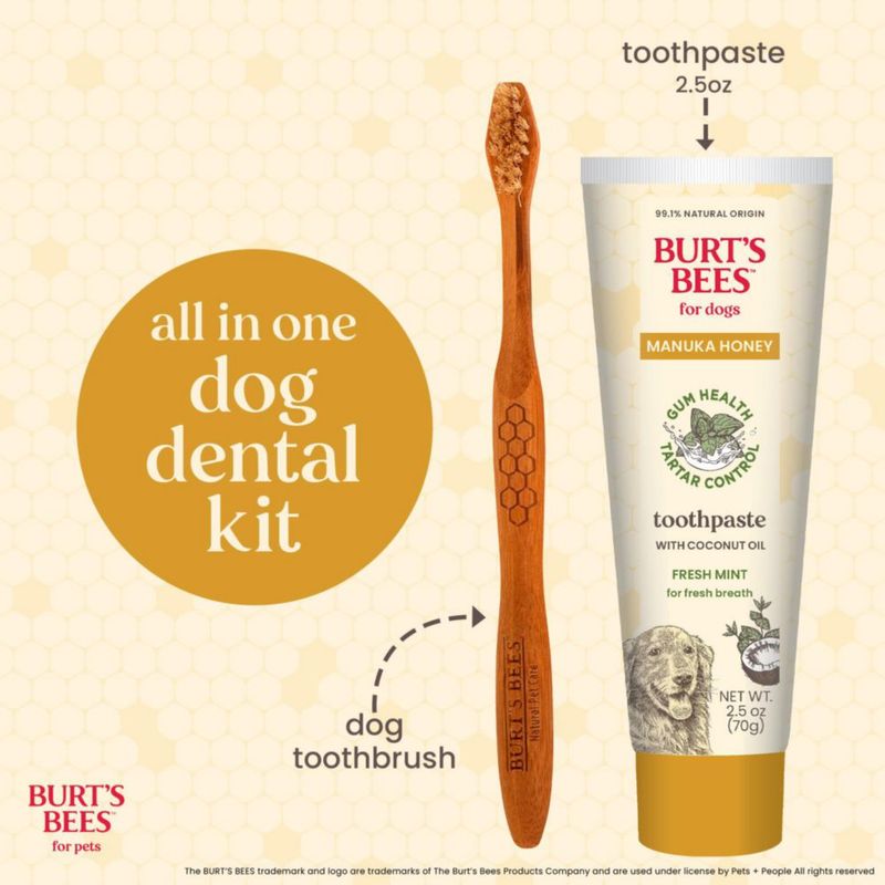 Kit Dental para Perro BURT'S BEES FOR PETS 70 g Menta Fresca