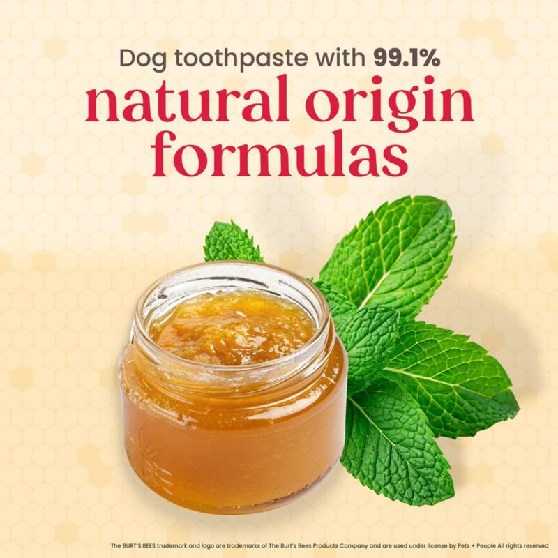 Kit Dental para Perro BURT'S BEES FOR PETS 70 g Menta Fresca