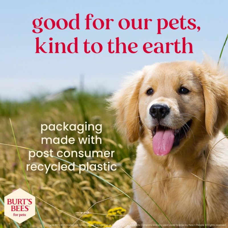 Kit Dental para Perro BURT'S BEES FOR PETS 70 g Menta Fresca