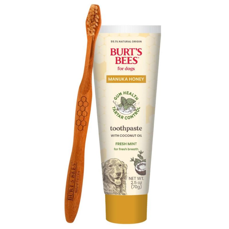 Kit Dental para Perro BURT'S BEES FOR PETS 70 g Menta Fresca