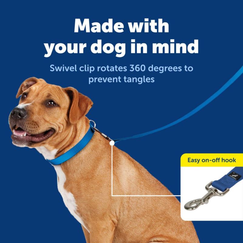 Correa PetSafe de Nylon 18 m Azul Real 1 cm
