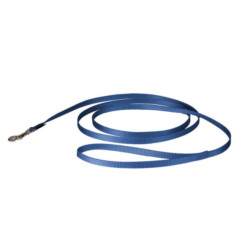 Correa PetSafe de Nylon 18 m Azul Real 1 cm