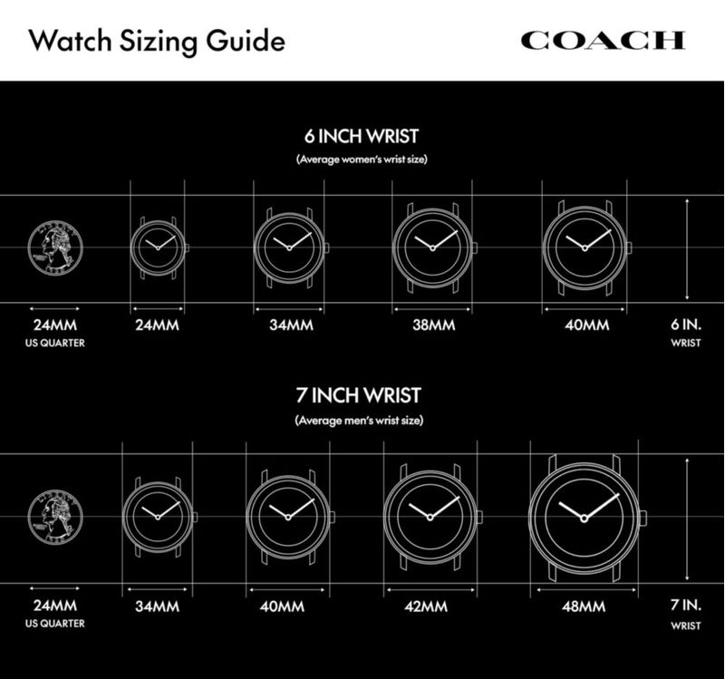 Reloj Coach Cary para Mujer 14504004 Resistente al Agua