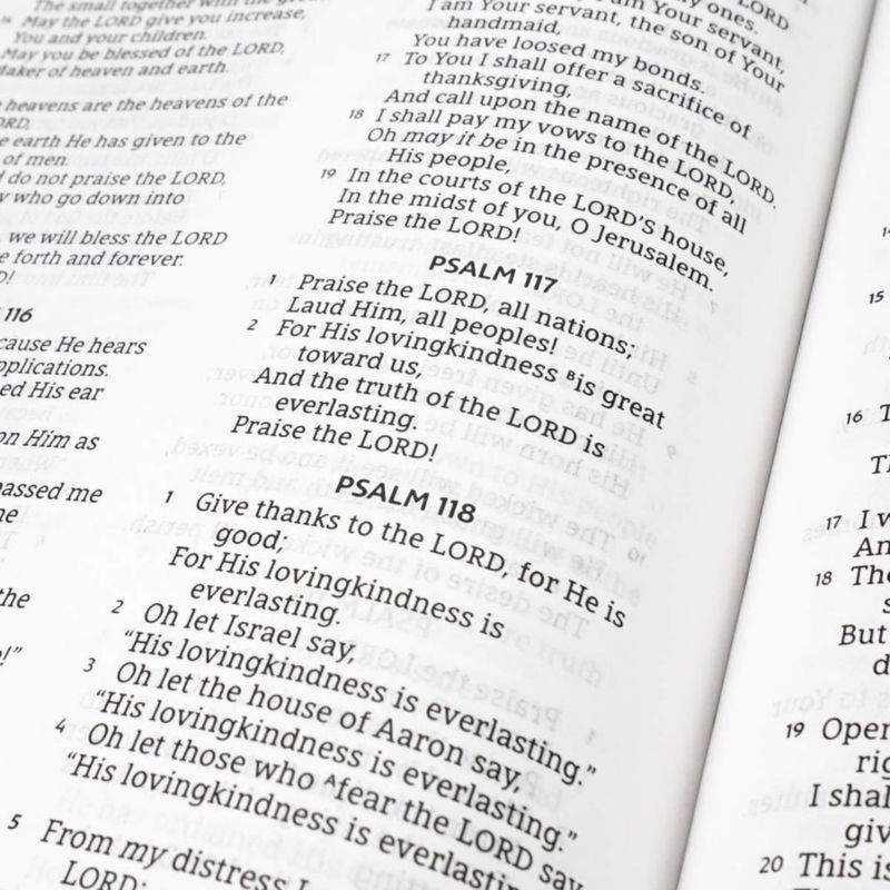 Biblia HarperCollins NASB Thinline de Cuero Marrón