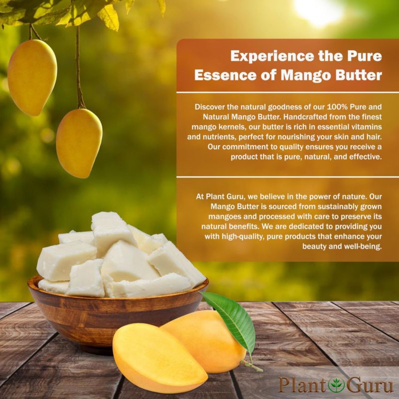 Manteca de Mango Plant Guru 454 g 100 % Pura Natural