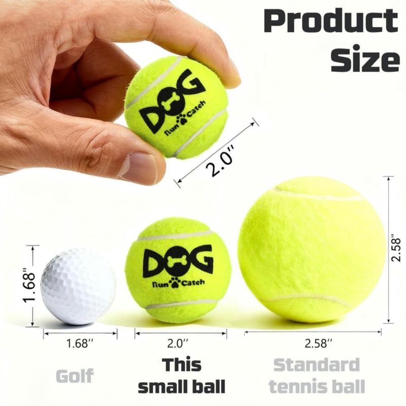 Pelotas de tenis INSUM 2.0" (paquete de 6) – juguete chirriante para perros
