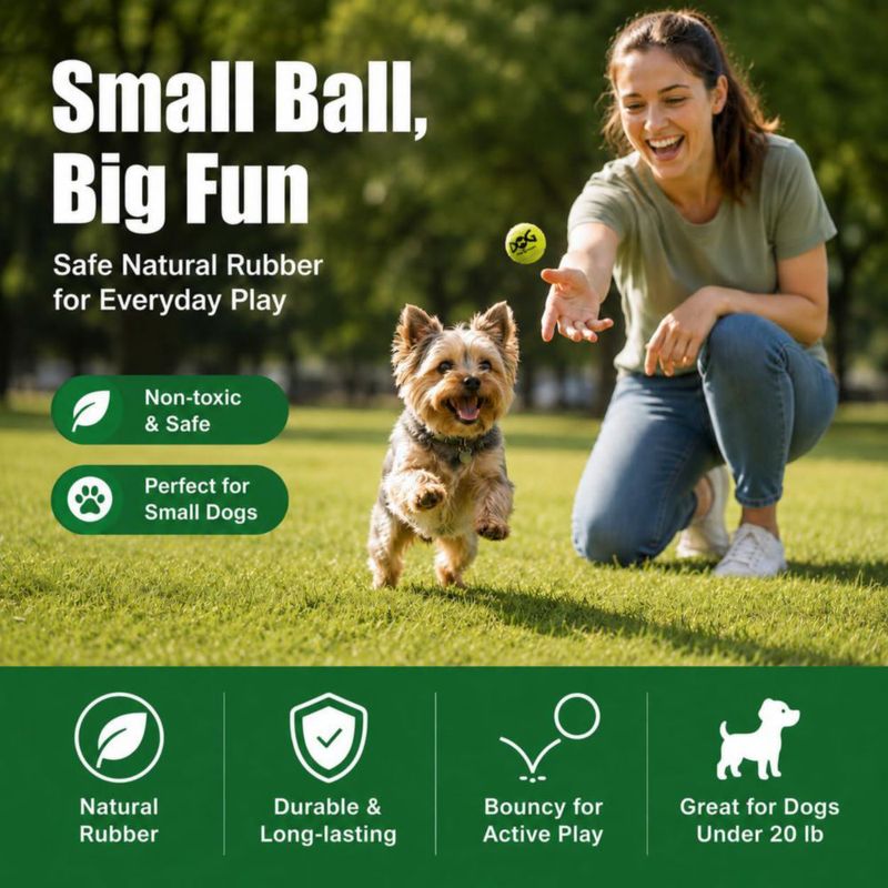 Pelotas de tenis INSUM 2.0" (paquete de 6) – juguete chirriante para perros
