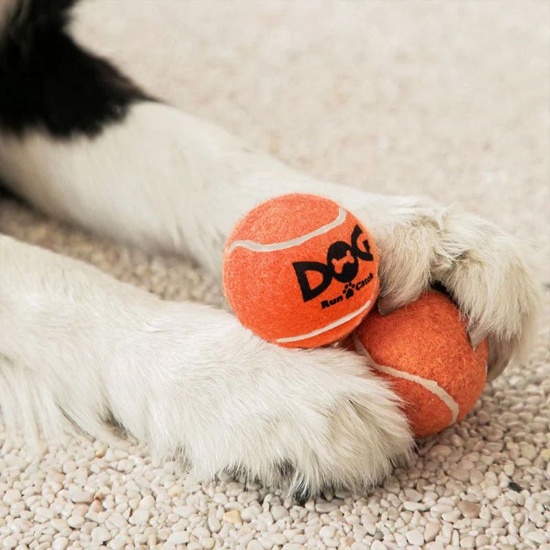 Pelotas de tenis INSUM 2.0" (paquete de 6) – juguete chirriante para perros