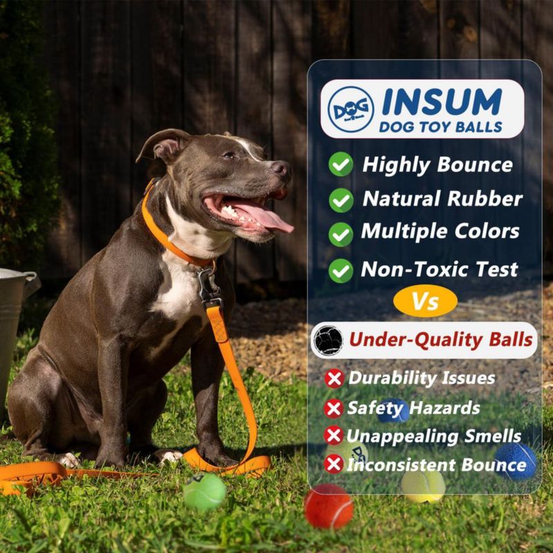 Pelotas de tenis INSUM 2.0" (paquete de 6) – juguete chirriante para perros