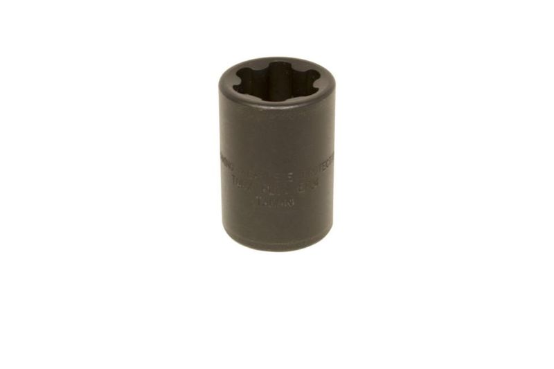 Caja de vaso Torx Plus Lisle EP24
