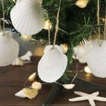 Conchas SINKOO 6-8 cm con Agujeros – 16 piezas para Manualidades