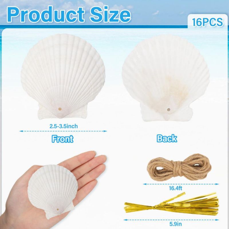 Conchas SINKOO 6-8 cm con Agujeros – 16 piezas para Manualidades