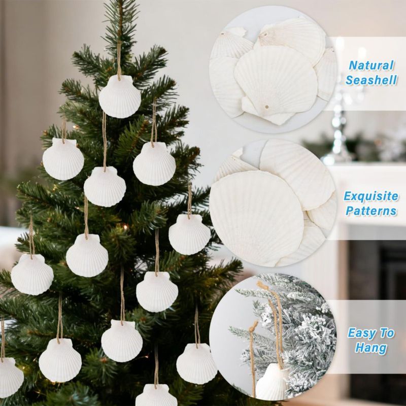 Conchas SINKOO 6-8 cm con Agujeros – 16 piezas para Manualidades