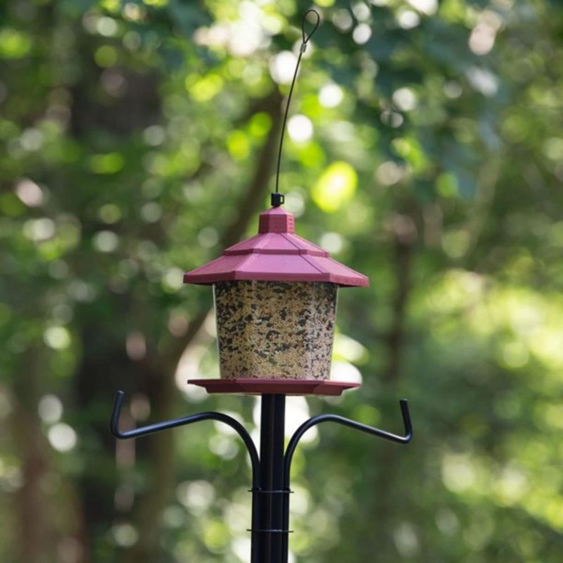 Alimentador de Pájaros Pennington Ecozebo Petite 11 kg
