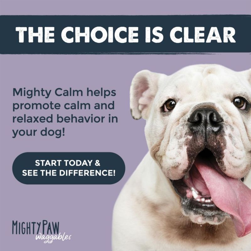 Mighty Paw Masticables Calmantes para Perros - 240 Unidades - Hecho en EE. UU.