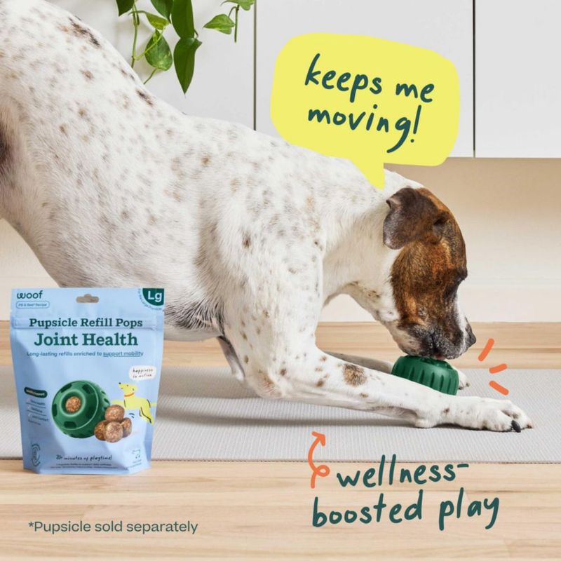 Suplemento para perros WOOF Pupsicle Recarga (paquete de 2)